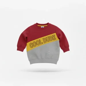 Front view of a maroon, yellow, and grey long-sleeve kids' sweatshirt with a diagonal yellow block that reads "COOL DUDE" in black outline.
