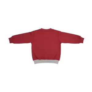 Back view of a plain maroon long-sleeve kids' sweatshirt with a light-grey hem.